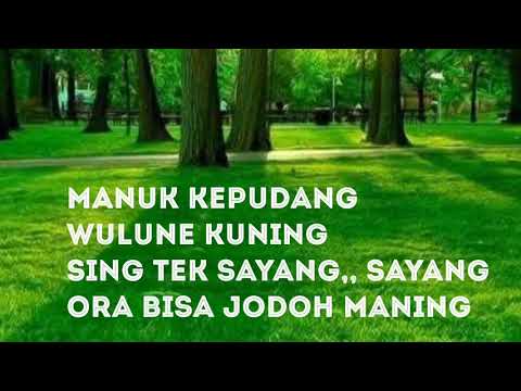 download lagu mp3 mp4 Lirik Manuk Kepudang, download lagu Lirik Manuk Kepudang gratis, unduh video klip Lirik Manuk Kepudang