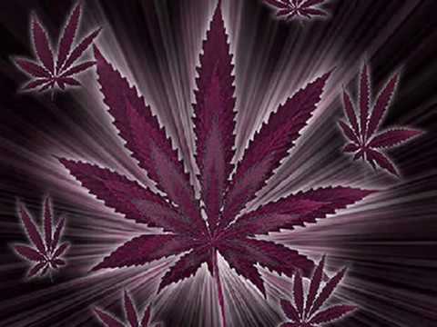 Bulldog Fantazma - Mary Jane -     léka 2009