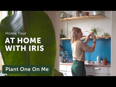 Houseplant Home Tour with Mama Botanica — Ep 177