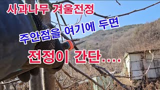 사과나무 겨울전정, 주안점을 여기에 두면 전정이 간단 (사과 동계전정, 꽃눈, 좋은 결과지, 잎눈, 불량 결…
