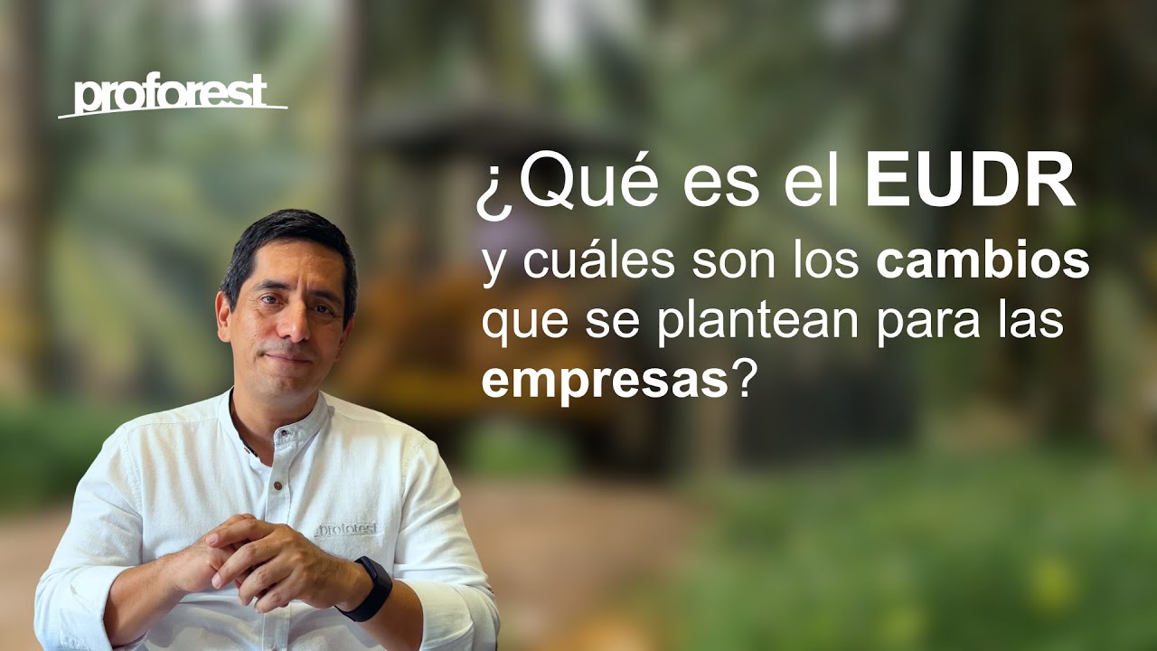 ¿Qué es el EUDR y qué cambios se plantean para las empresas?