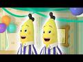 The Banana Dance Bananas In Pyjamas Season 2 Full Episodes Bananas In Pyjamas