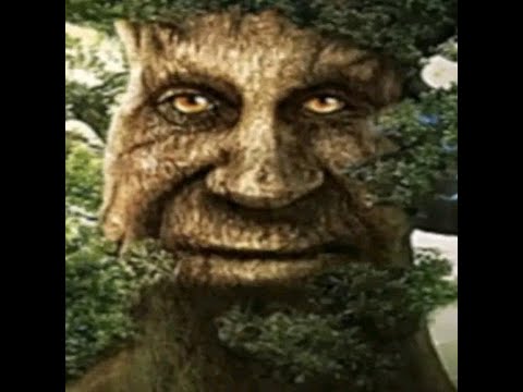 Kreuzzüge leicht gemacht - eine Präsentation