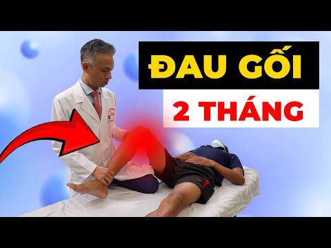 Đau Gối 2 Tháng Không Khỏi? Cảnh Báo Dấu Hiệu Nguy Hiểm Bạn Đang Bỏ Qua