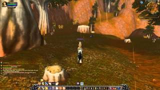 Quest 112: The Grand Magus Doane (WoW, human, paladin)