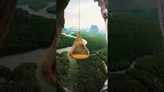 Download lagu would you swing | beautiful places to visit | travel whatsapp status 2021 | #shorts mp3 Download lagu would you swing | beautiful places to visit | travel whatsapp status 2021 | #shorts mp3