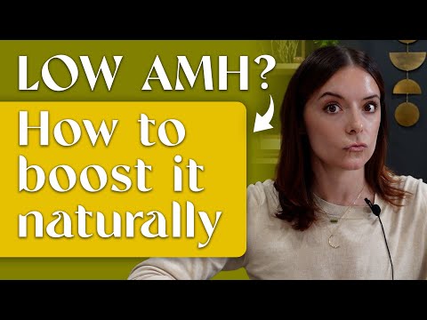 How to Increase Low AMH Levels Naturally When Your Doctor Says It's Impossible