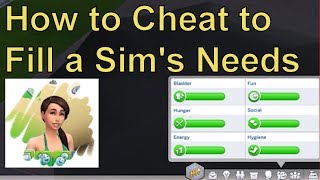 How to Cheat to Fill a Sim