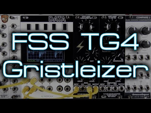 Future Sound Systems TG4 Gristleizer Modulator - FREE SHIPPING image 3