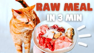 How To Raw Feed Your Cat In 3 Minutes