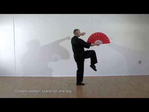 Learn Tai Chi Kung Fu Fan