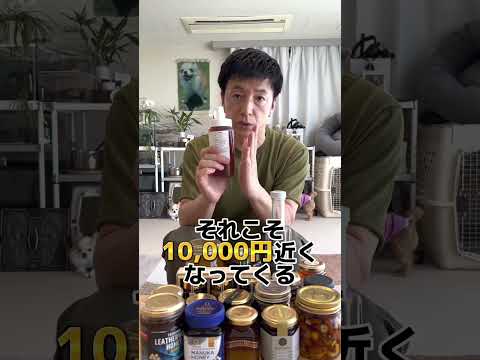 だからこそ蜂蜜は健康に良いのです ライフスタイル