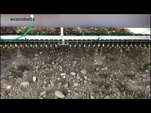 Ecorobotix AVO Video 2127