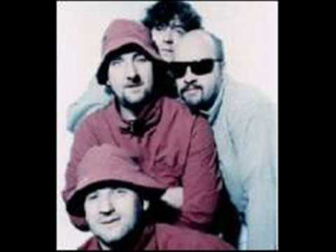 The Shirehorses - (now) i know (where I'm going) our kid
