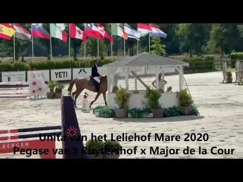 Unita van het Leliehof