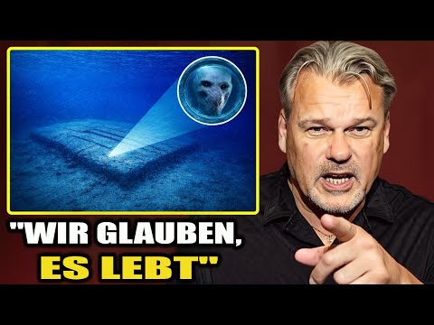 Vor seinem Tod enthüllte Dennis Asberg die schockierende Wahrheit zur Ostsee-Anomalie