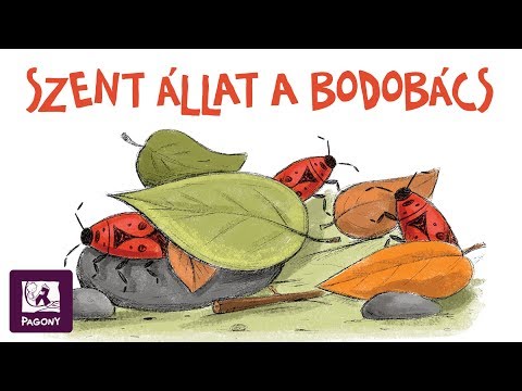 Örökké óvodás maradok! ovis mesék - Szent állat a bodobács