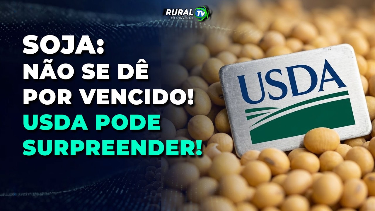 SOJA: NÃO SE DÊ POR VENCIDO! USDA PODE SURPREENDER!