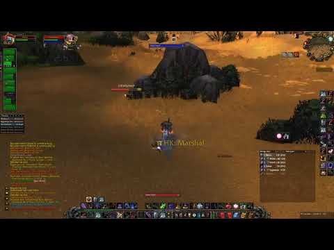 Thunderfury 1v1 | WoW Classic PvP | Troll Prot Warrior