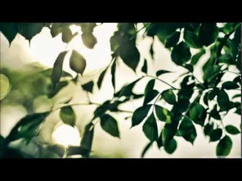 FS Zamutovčan - V murovanej pivňici