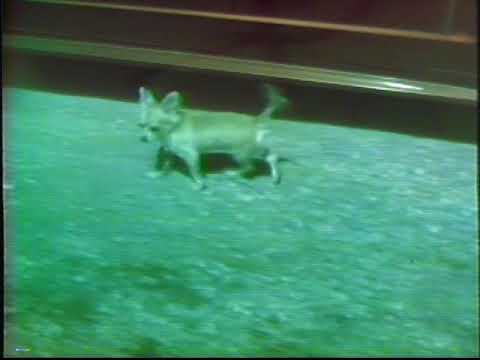 Taking the 1978 RCA CC001 Outside!