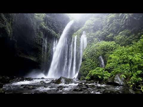 România, Patria Apelor Minerale