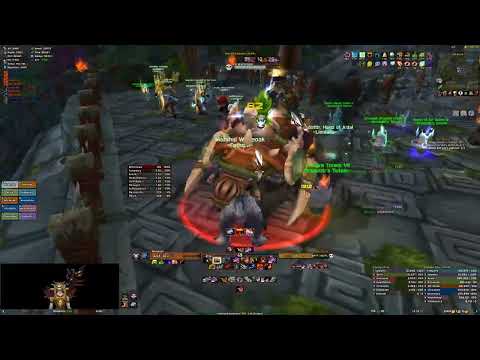 WoW TBC -  ZA timed run - Feral Tank PoV