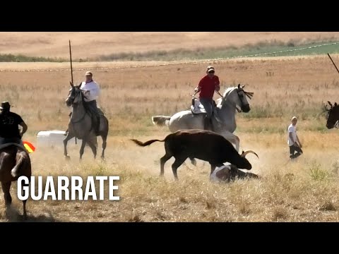 Guarrate 2024 Tradicionales Espantes con Toros Bravos