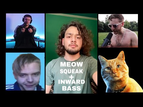 Meow Squeak + Inward bass || Dlow, Kenny Urban and Remix squeak
