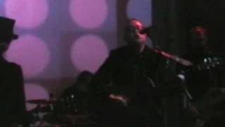 The Amber Herd - "Red Gold"