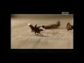 Iklan Djarum Coklat Tembakau Pegunungan Cengkeh Matang Pohon 2014