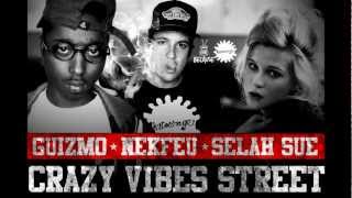 Selah Sue Guizmo Nekfeu  Crazy Vibes (Needle D remix)