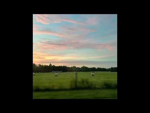 [FREE] Midwest Emo + Sad Indie Type Beat "lilac lane"