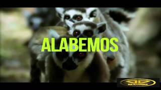 Marcos Witt   Alabemos - karaoke  (JD Records)