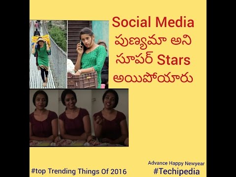 Telugu|Viral trends of 2016!!Common peoples becomes social media superstars!!!