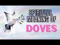 What is the Spiritual Meaning of DOVES - Exploring the Dove Symbolism