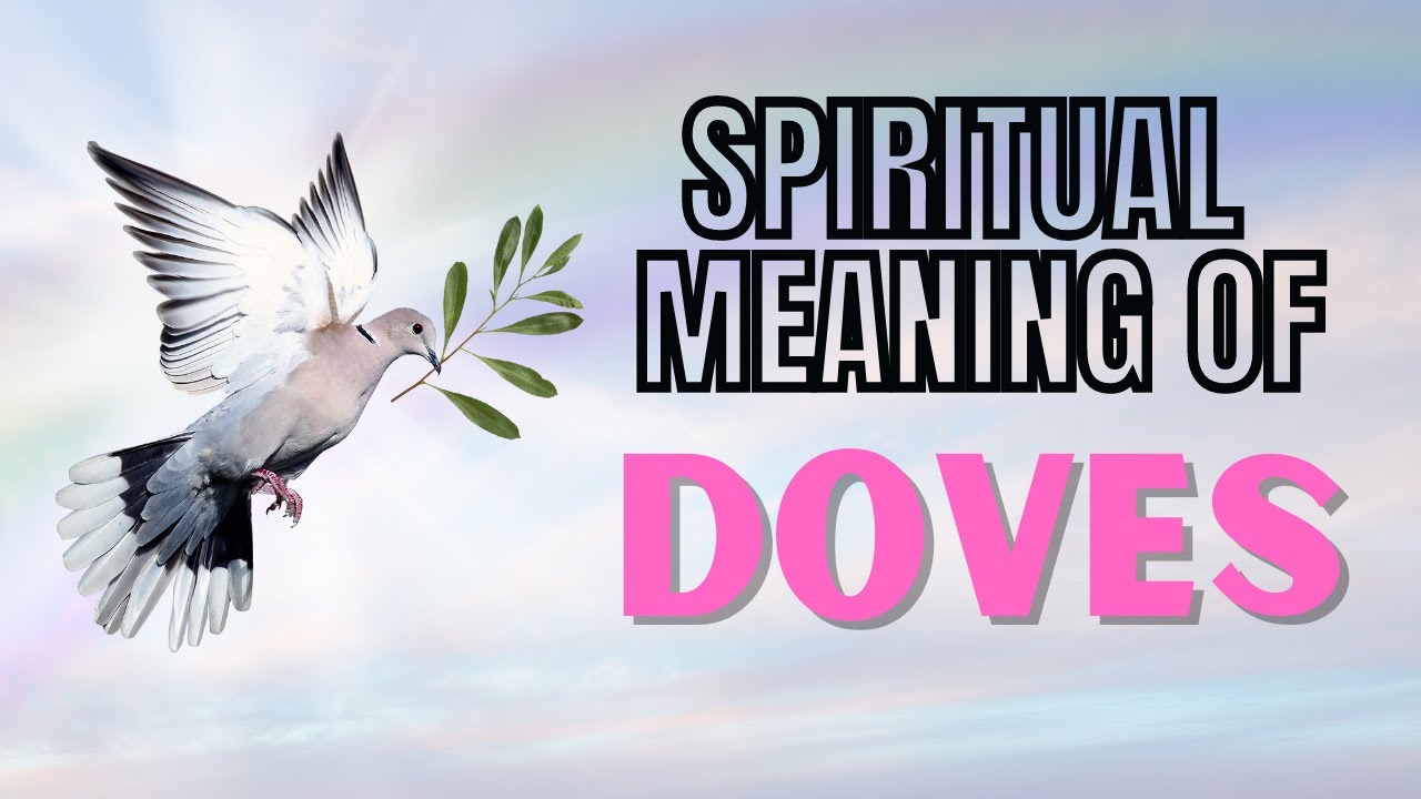 What is the meaning of the dove?
