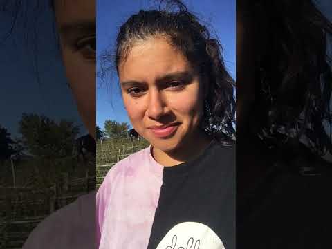 Resistance Garden: How to Harvest Flower Seed