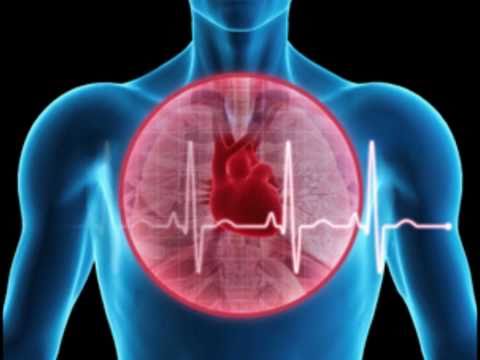 Metaphysics For Life 105 Heart Intelligence
