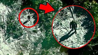 Amazon Rainforest Discoveries That Shocked Researchers