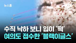 오늘 여의도 하늘에서 있었던 블랙이글스 공연