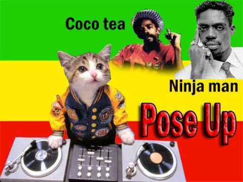 Ninja man ft. Coco Tea - pose up