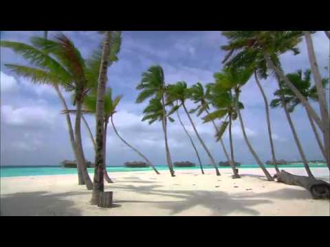 VitaPopadiuk’s Video 10019363404 VIGss81FHuo