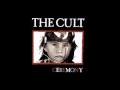 The Cult 'IF'
