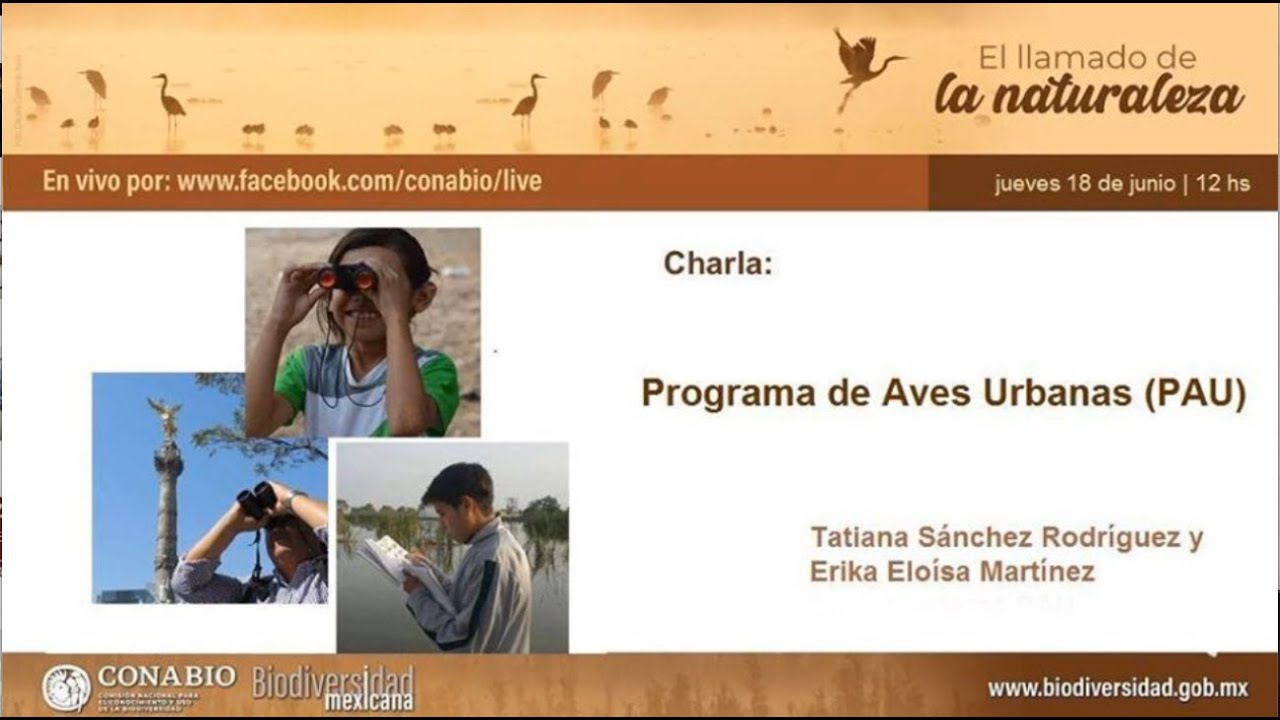 Programa de aves urbanas (PAU), Tatiana Sánchez Rodríguez y Érika Eloisa Martínez.
