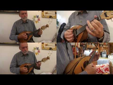 Mandoline lernen - Einfache Akkorde - Wechselschlag auf leeren Saiten - Tom Dooley