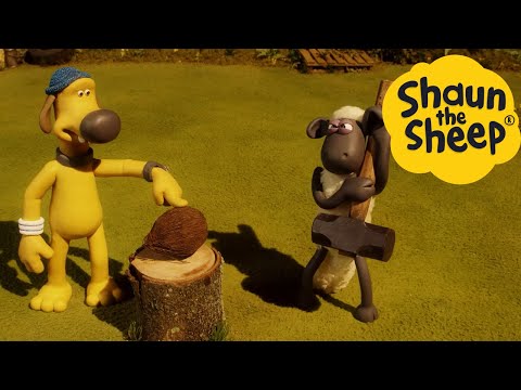 Shaun the Sheep ???? COCONUT - Cartoons for Kids ???? Full Episodes Compilation [1 hour]