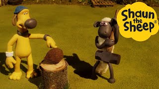 Download lagu Shaun the Sheep 🐑 COCONUT - Cartoons for Kids 🐑 Full Episodes Compilation [1 hour] mp3