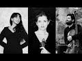 Schubert: Piano Trio in B-flat major, D.898, Andante un poco mosso