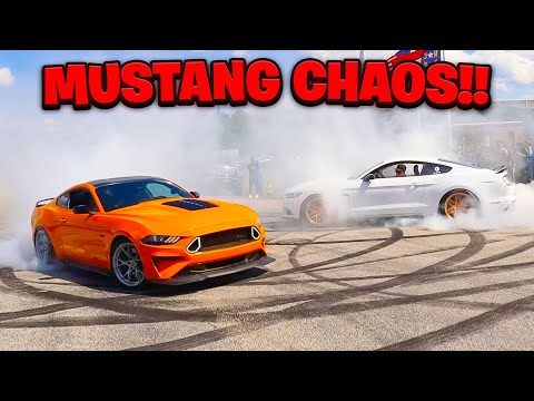 THE MOST CHAOTIC ALL MUSTANG CAR SHOW SENDS!! MMS 2023
